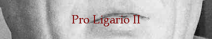 Pro Ligario II