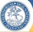 UnivTorino