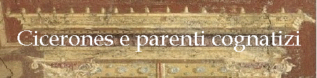 Cicerones e parenti cognatizi