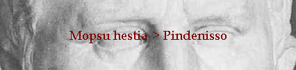 Mopsu hestia > Pindenisso