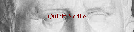 Quinto  edile