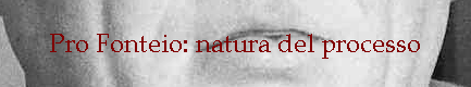 Pro Fonteio: natura del processo